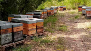 Lire la suite à propos de l’article De ferme en ferme 2022