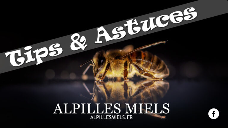 Lire la suite à propos de l’article Les 10 choses à faire pour protéger les abeilles