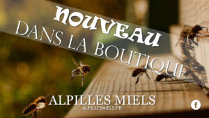 Lire la suite à propos de l’article Découvrez la propolis