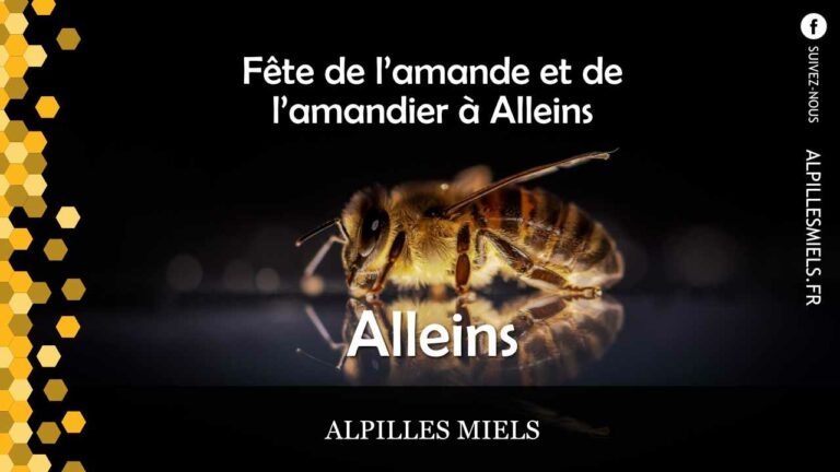 Lire la suite à propos de l’article Fête de l&rsquo;amande et de l&rsquo;amandier