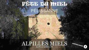 Lire la suite à propos de l’article Fête du miel à Pélissanne
