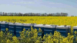 Lire la suite à propos de l’article Au Cœur des Alpilles, Notre Rucher à Aureille.