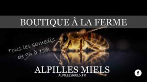 Lire la suite à propos de l’article Apiculteur vente en directe