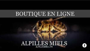 Lire la suite à propos de l’article Boutique de miel en ligne