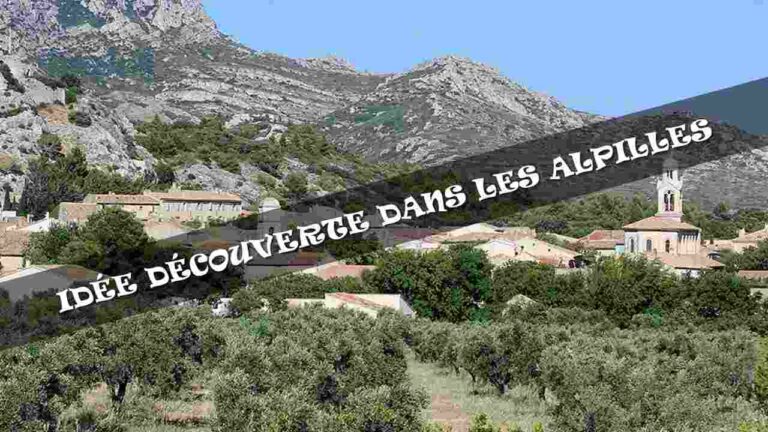 Lire la suite à propos de l’article Que faire dans la parc naturel des alpilles ?