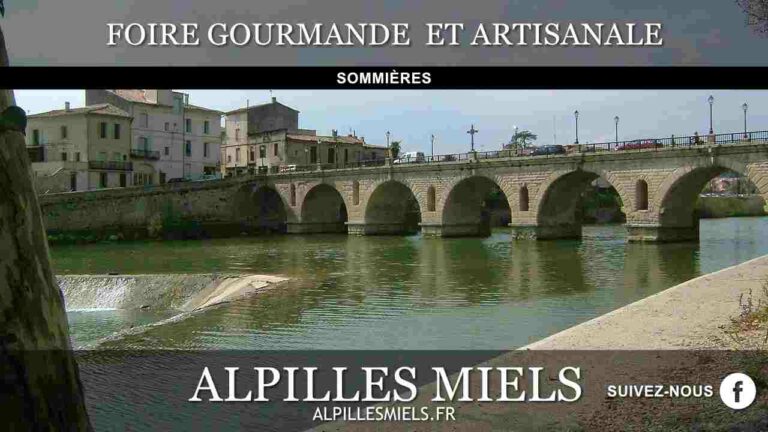 Lire la suite à propos de l’article Foire au gourmande et artisanale de Sommières
