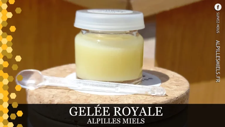 Lire la suite à propos de l’article Découvrez la Gelée Royale d&rsquo;Alpilles Miels
