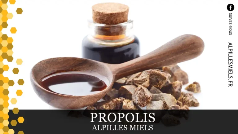 Lire la suite à propos de l’article Propolis Alpilles Miels à Aureilles