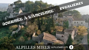Lire la suite à propos de l’article Journée à l&rsquo;Ancienne à Eygalières