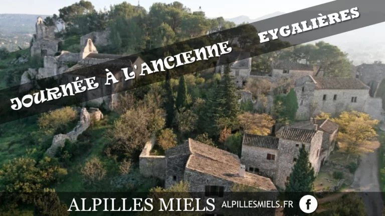 Lire la suite à propos de l’article Journée à l&rsquo;Ancienne à Eygalières