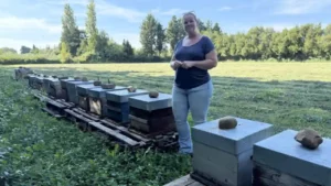 Lire la suite à propos de l’article Découvrez l&rsquo;article de PressAgrimed sur Alpilles Miels